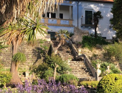 Private garden in western Sicily
