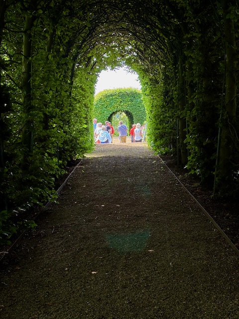 Hornbeam tunnel 2