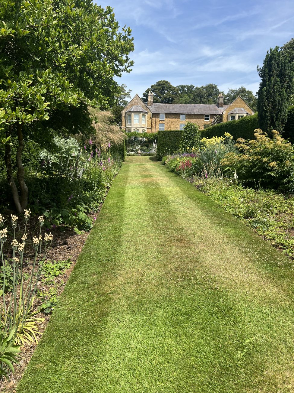 House borders to be replanted