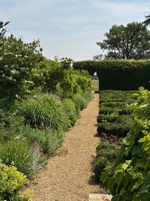 Lower terrace planting