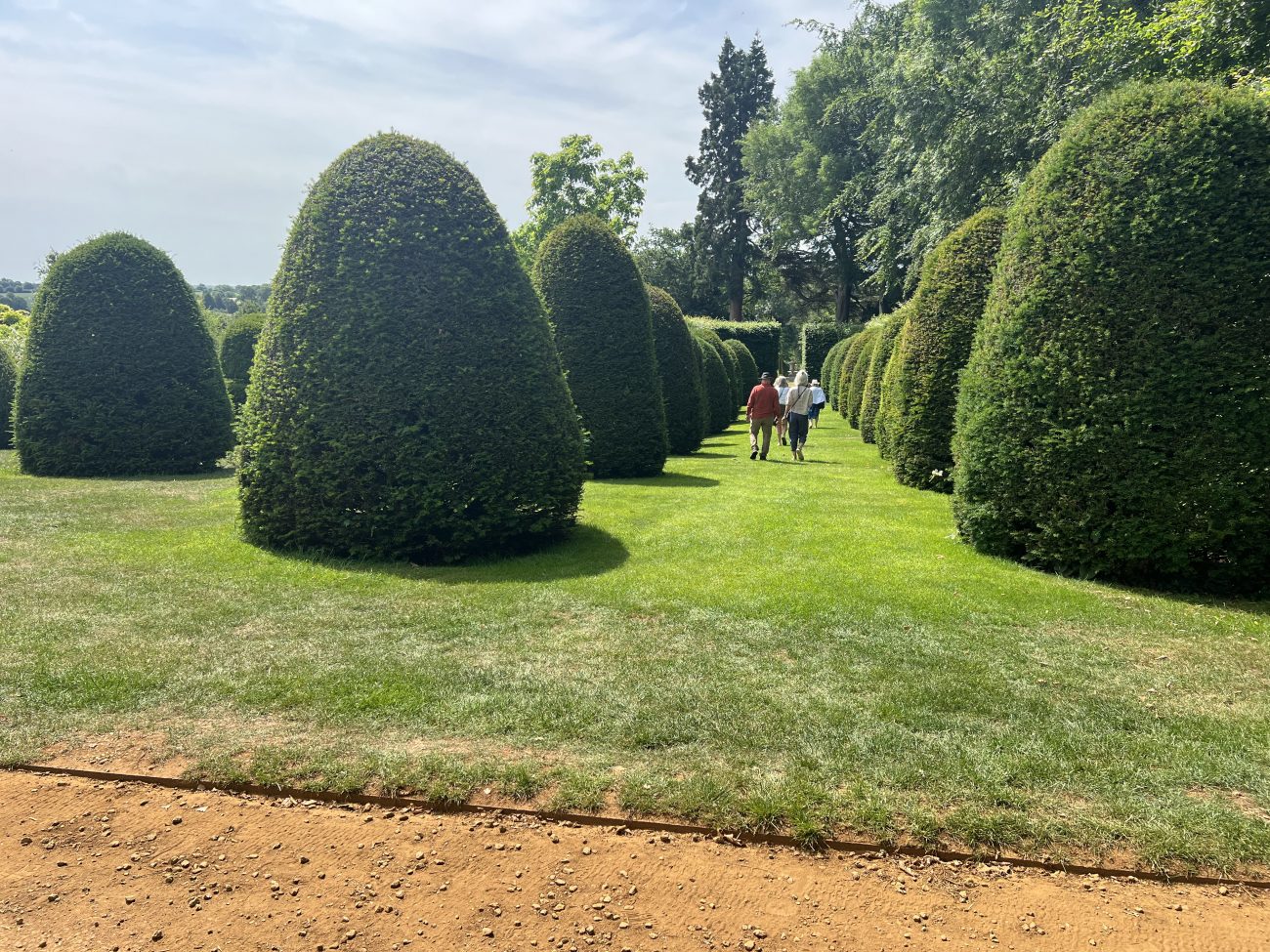 Playful Yew Domes