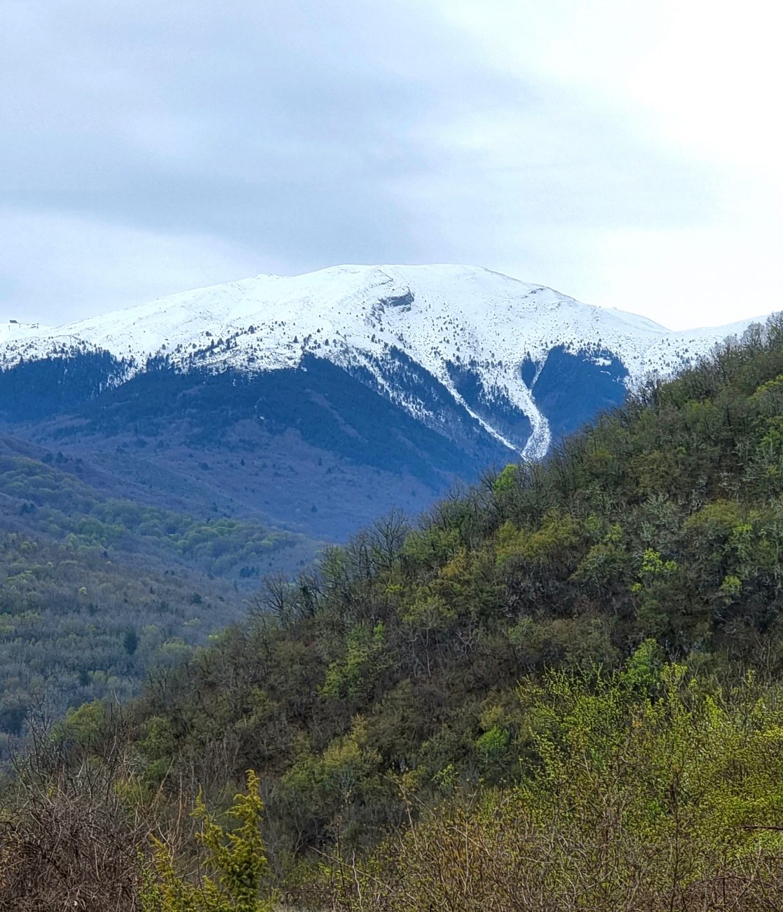 Snow capped Mountain