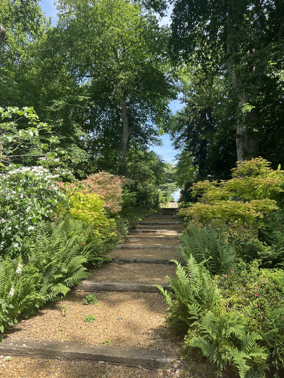 To woodland garden