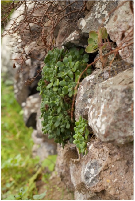 Picture 32